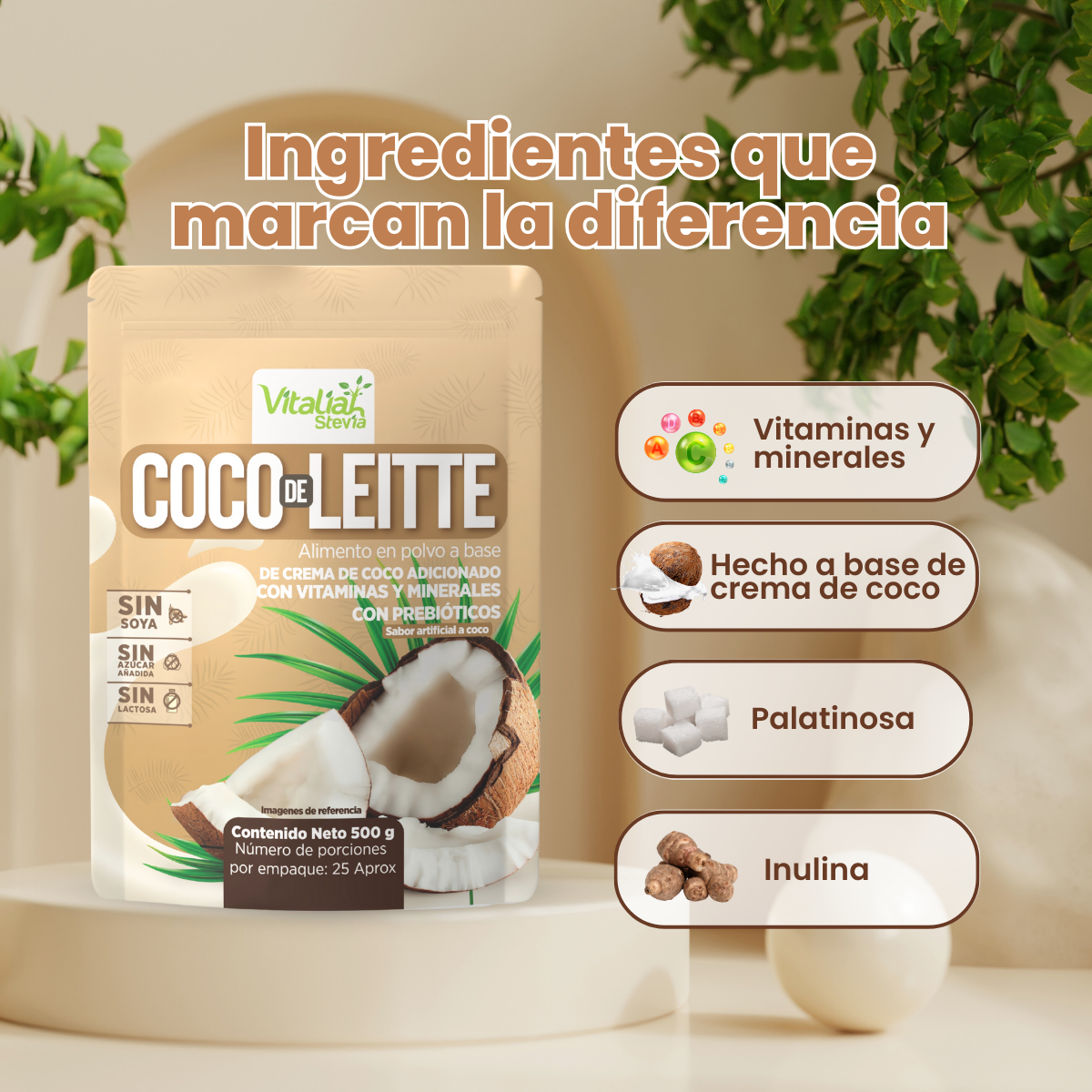 Coco de Leitte: Leche de Coco - X500 G
