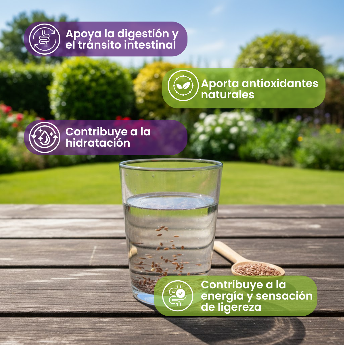 Fibra Linaza Pitaya Y NoniI Doypack 425 g