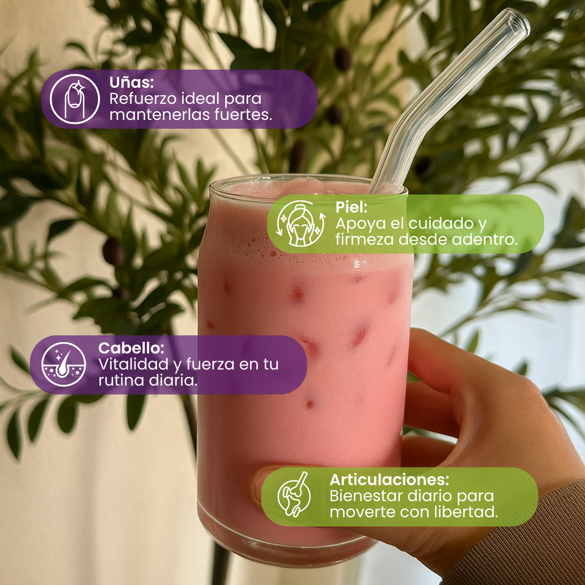 Colageno Fresa Sin Endulzar con Uva Lioflizada + Gotero Stevia Gratis