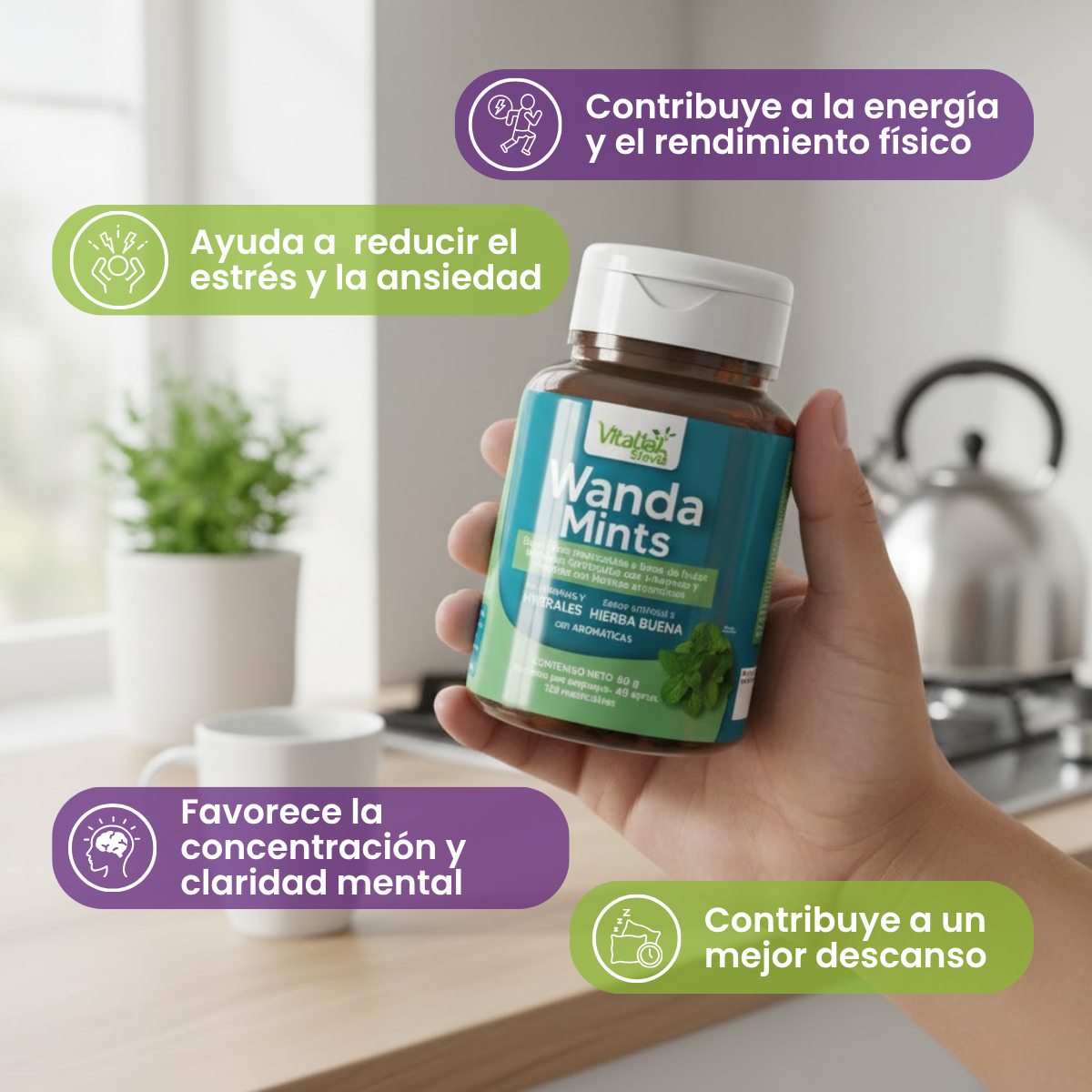 Masticables Wanda Mints - Hierbas Aromáticas 120 und