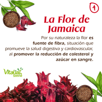 Linaza más Flor de Jamaica & Té Verde