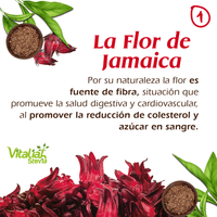 Linaza Flor de Jamaica + Té Verde vitaliah colombia